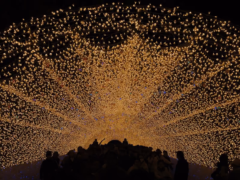 금빛 전구가 이어지는 조명 터널의 2011년 자료 사진