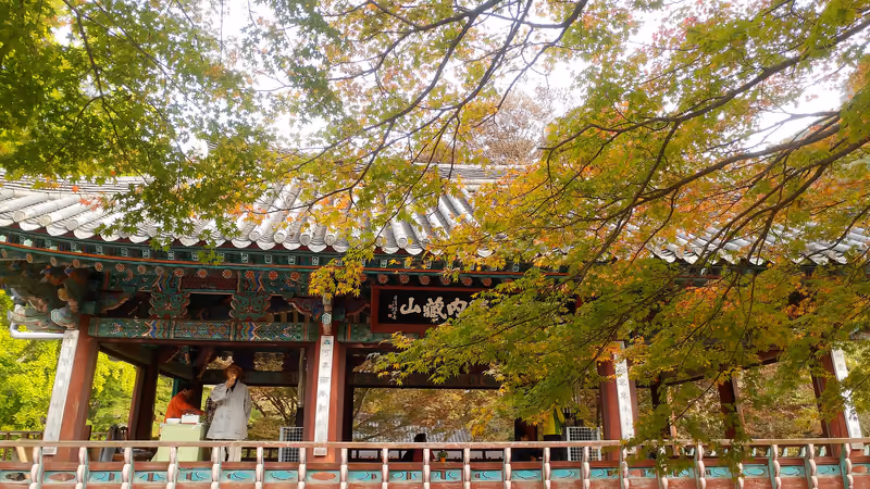 단풍나무 아래 내장산 현판이 보이는 일주문과 산책길