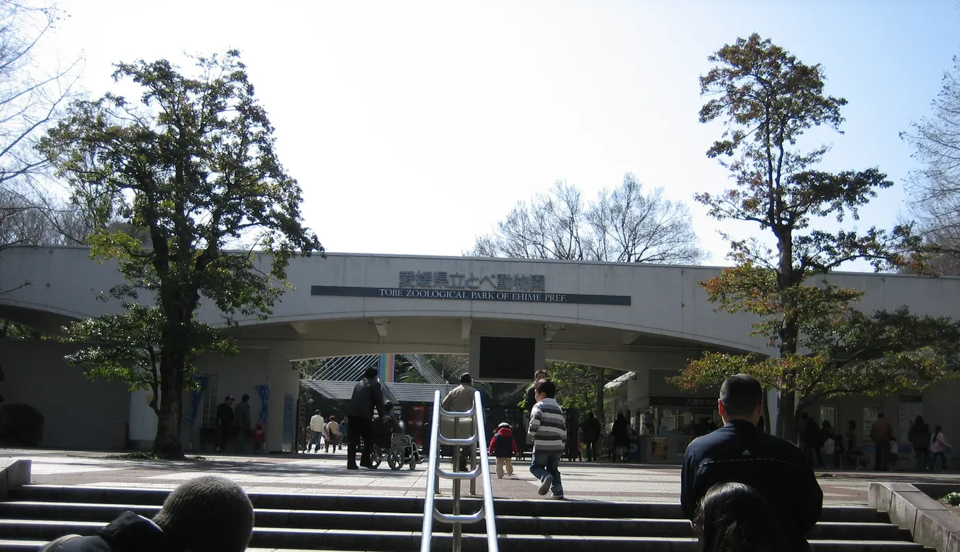 계단 위로 입구 건물과 도베동물원 간판이 보이는 모습